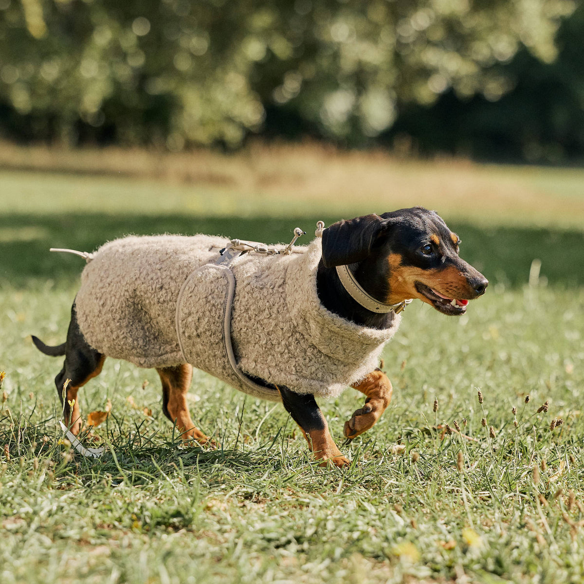 William Walker Hyggelig fleece-hundefrakke Cozy til gravhunde