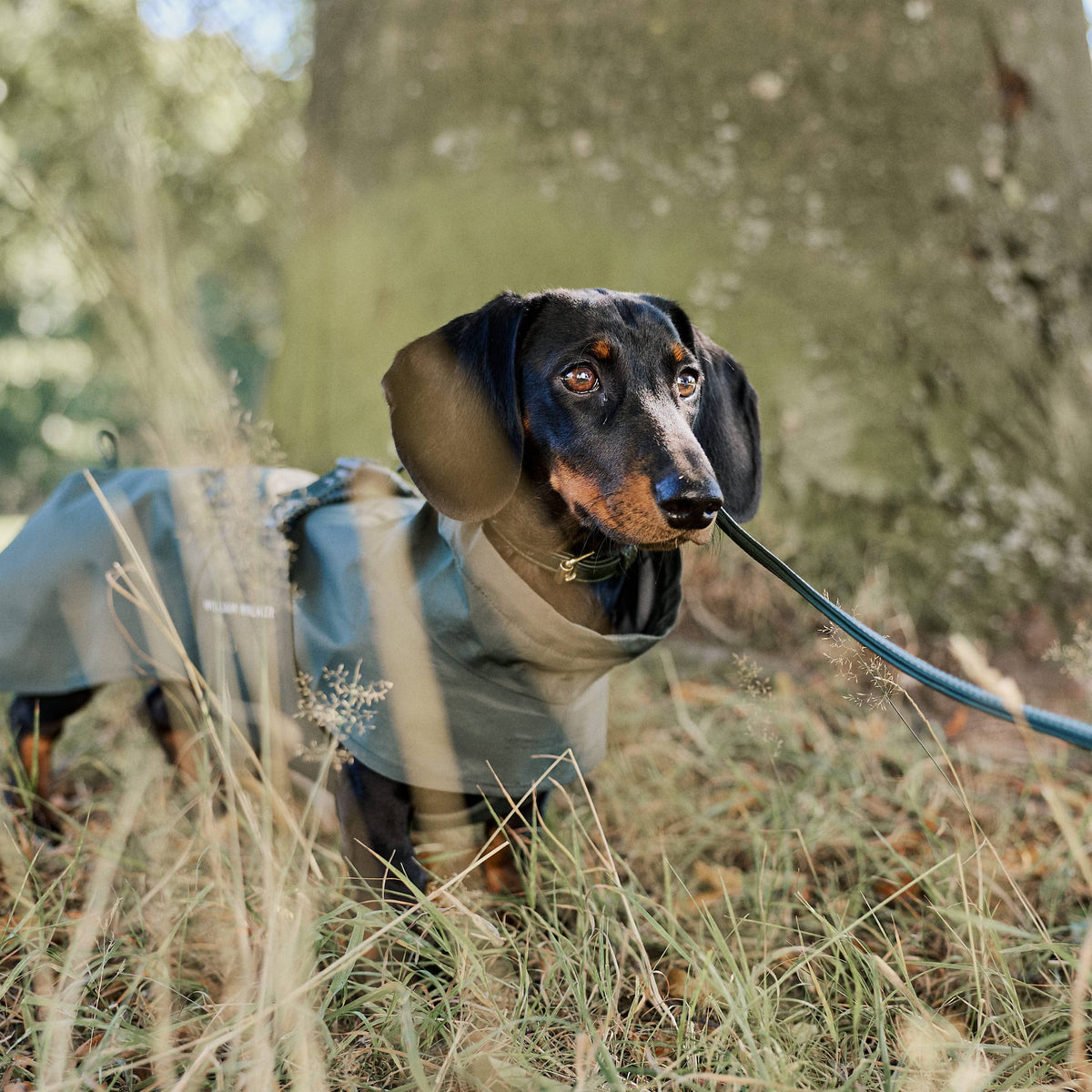 William Walker Vandtæt regnfrakke til gravhunde