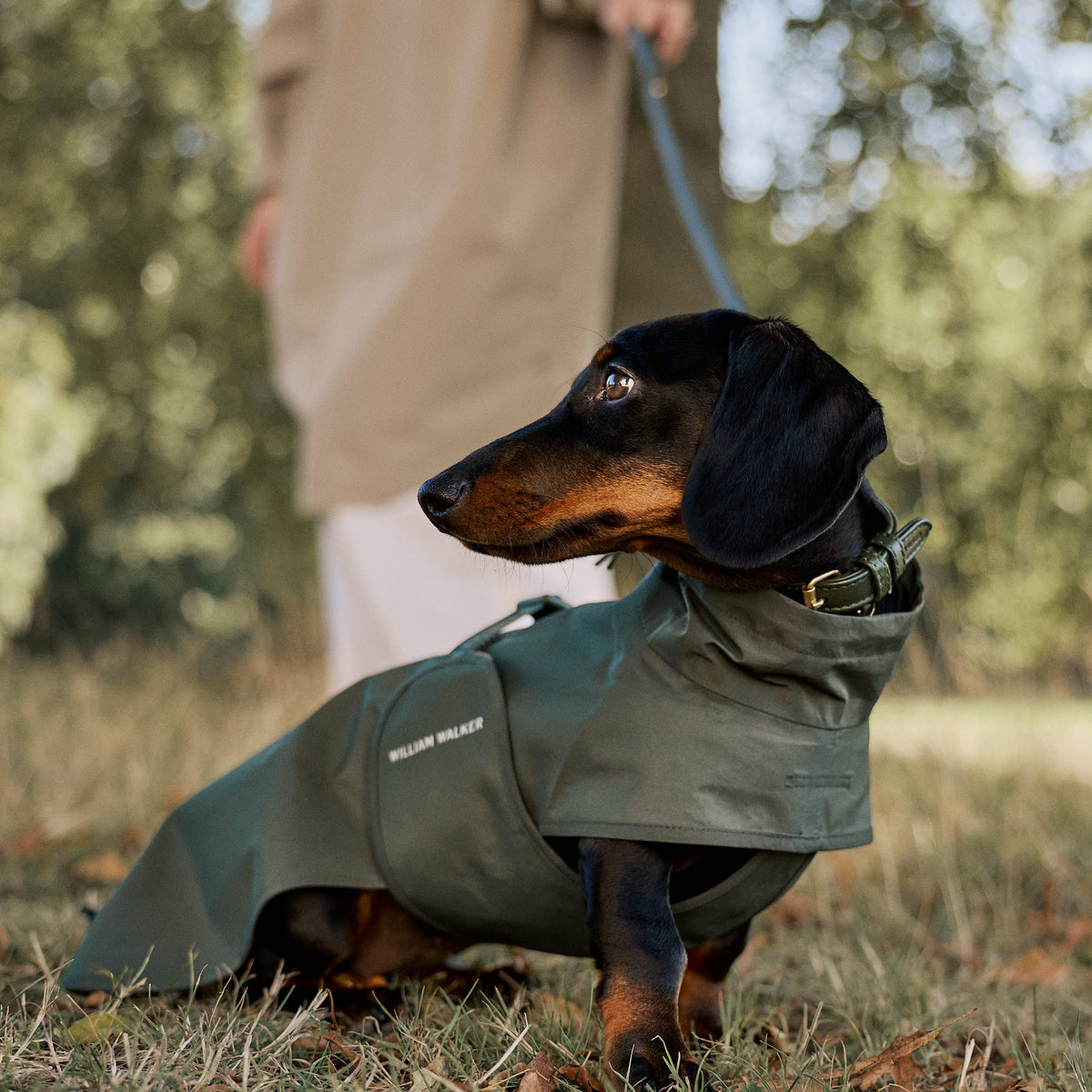 William Walker Vandtæt regnfrakke til gravhunde