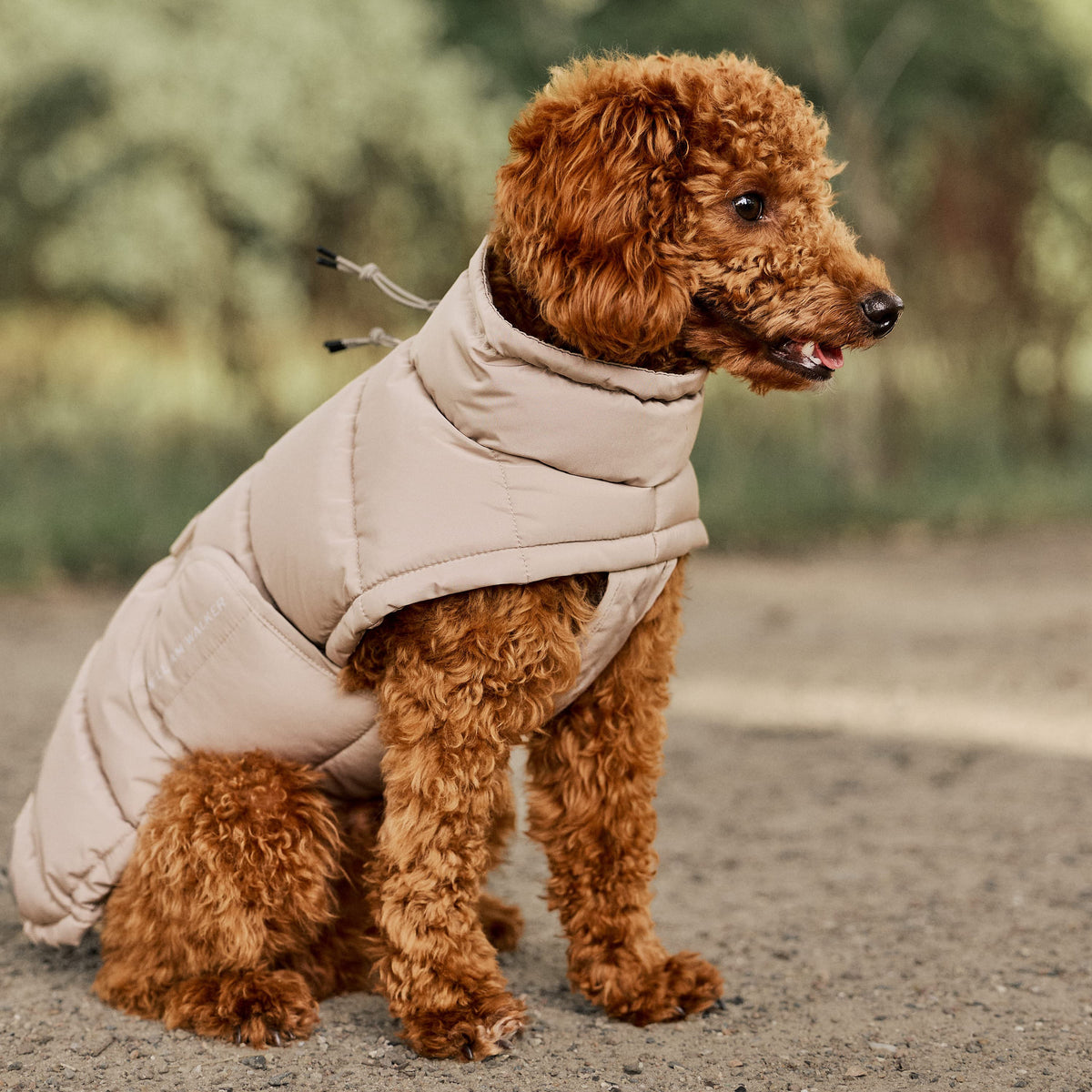 William Walker Varm vinterfrakke til hunde Alpine