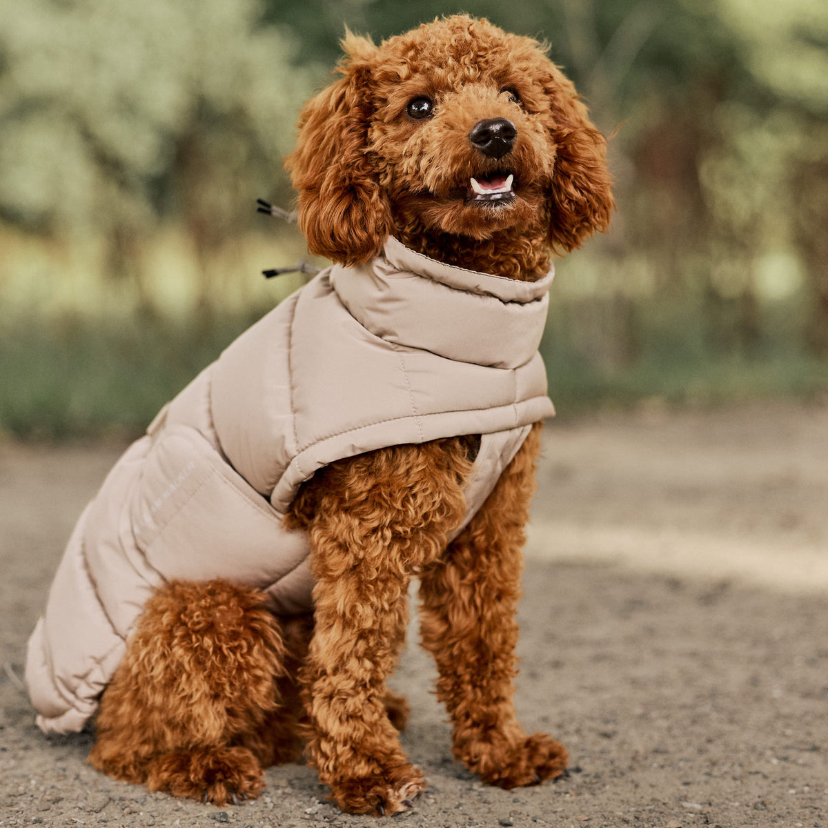 William Walker Varm vinterfrakke til hunde Alpine