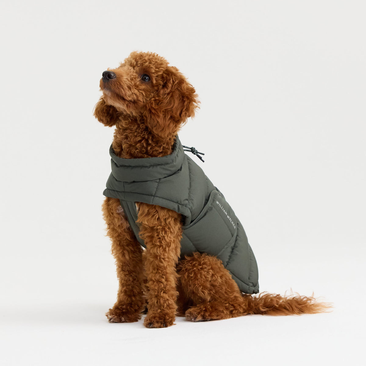 William Walker Varm vinterfrakke til hunde Alpine