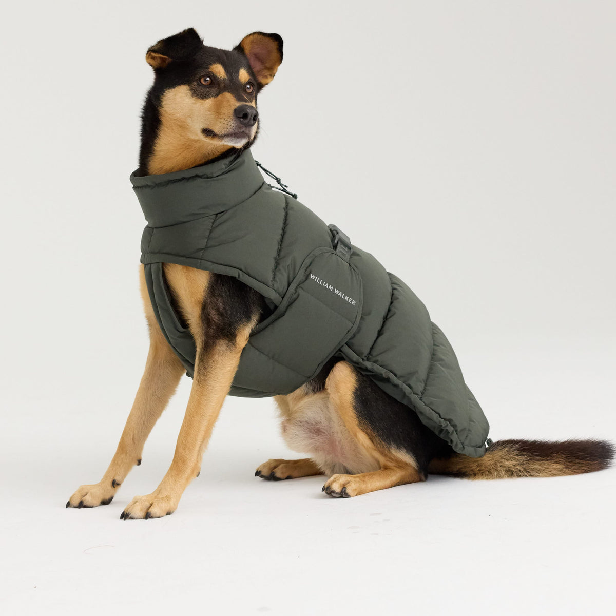 William Walker Varm vinterfrakke til hunde Alpine