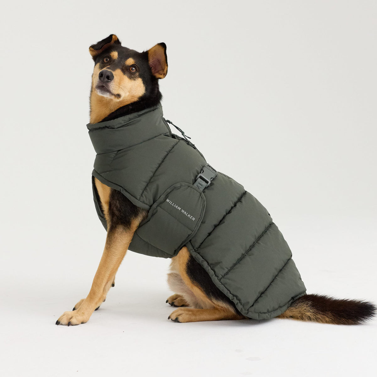 William Walker Varm vinterfrakke til hunde Alpine