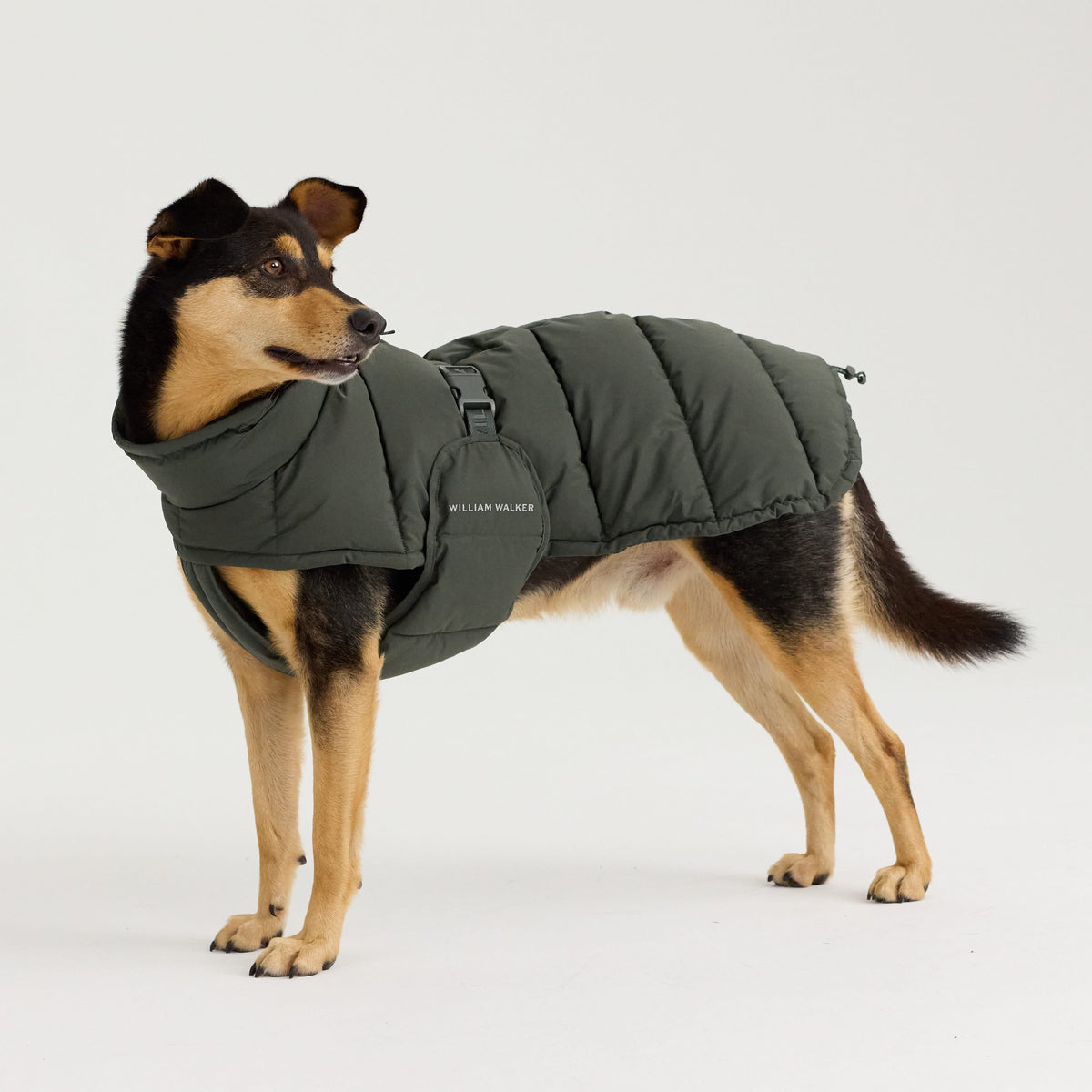 William Walker Varm vinterfrakke til hunde Alpine