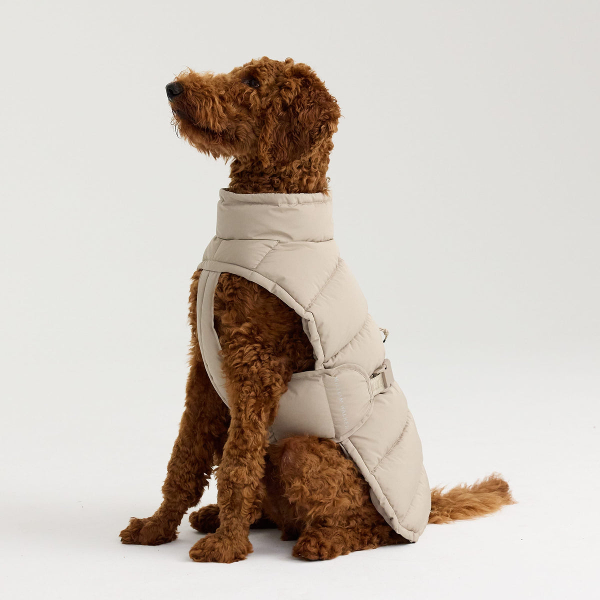 William Walker Varm vinterfrakke til hunde Alpine