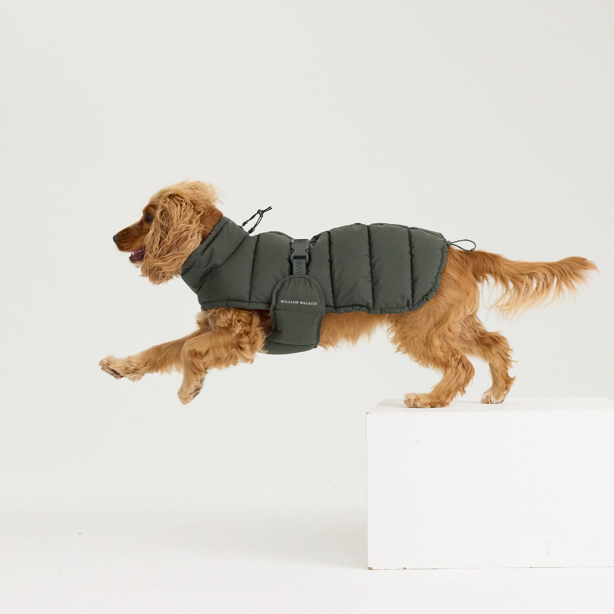 William Walker Varm vinterfrakke til hunde Alpine
