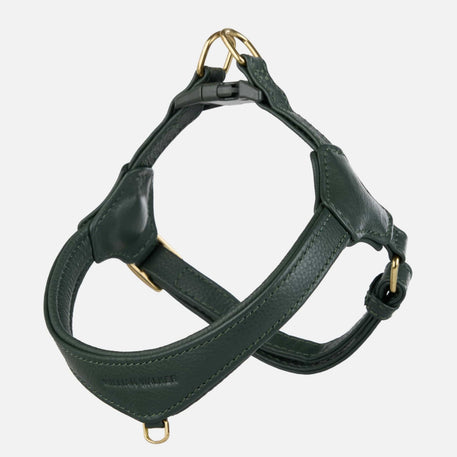 William Walker Step-In læder hundesele Pico til små hunde Dark Moss / 1