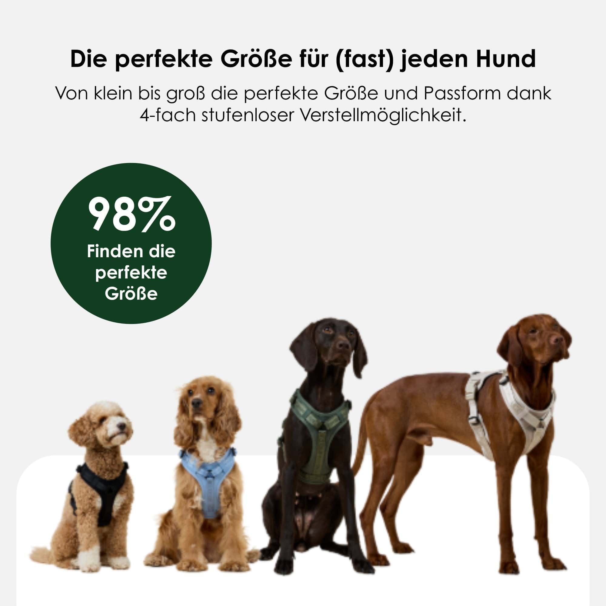 William Walker Hochwertiges Y-Hundegeschirr Forest (grün)