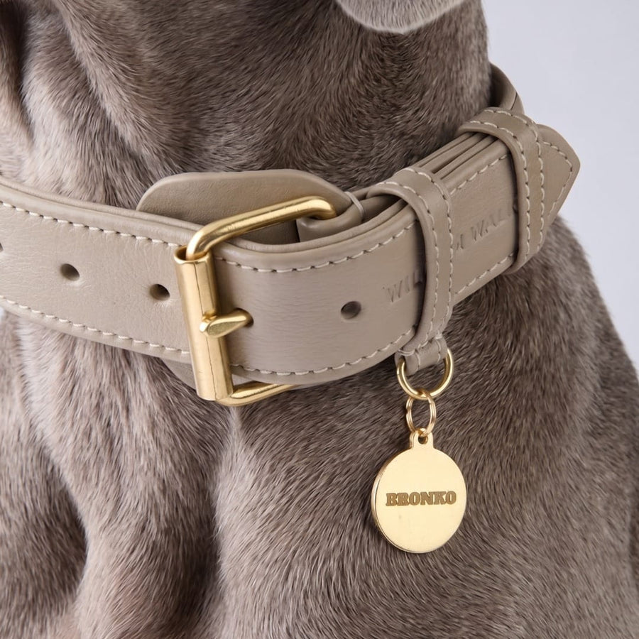 Personalized Round Brass Dog Tag