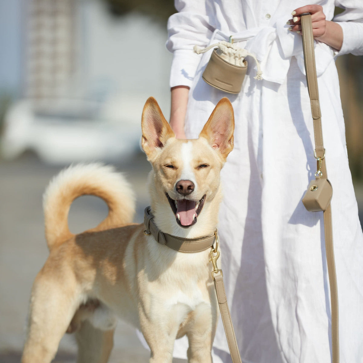 Hunde Godbidspose Sand (Beige)