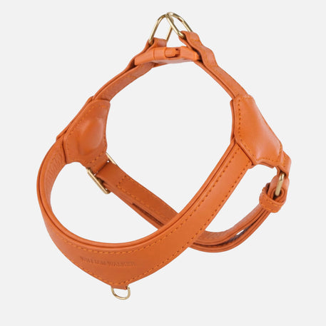 William Walker Step-In læder hundesele Pico til små hunde Amber (orange) / 1