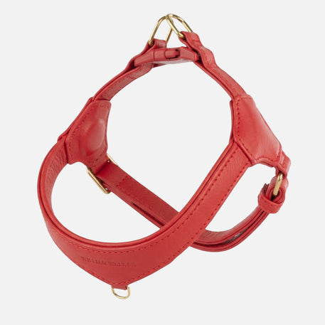 William Walker Step-In læder hundesele Pico til små hunde Chili (rot) / 1