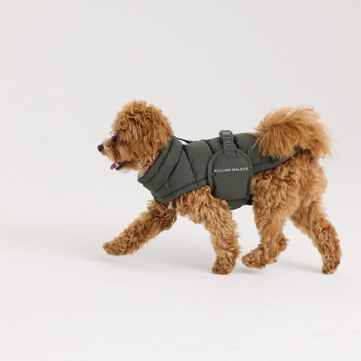 William Walker Varm vinterfrakke til hunde Alpine