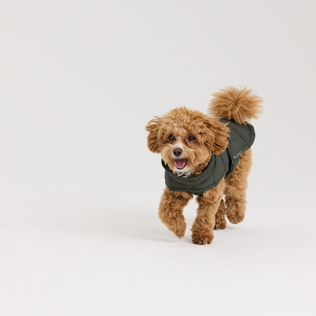 William Walker Varm vinterfrakke til hunde Alpine