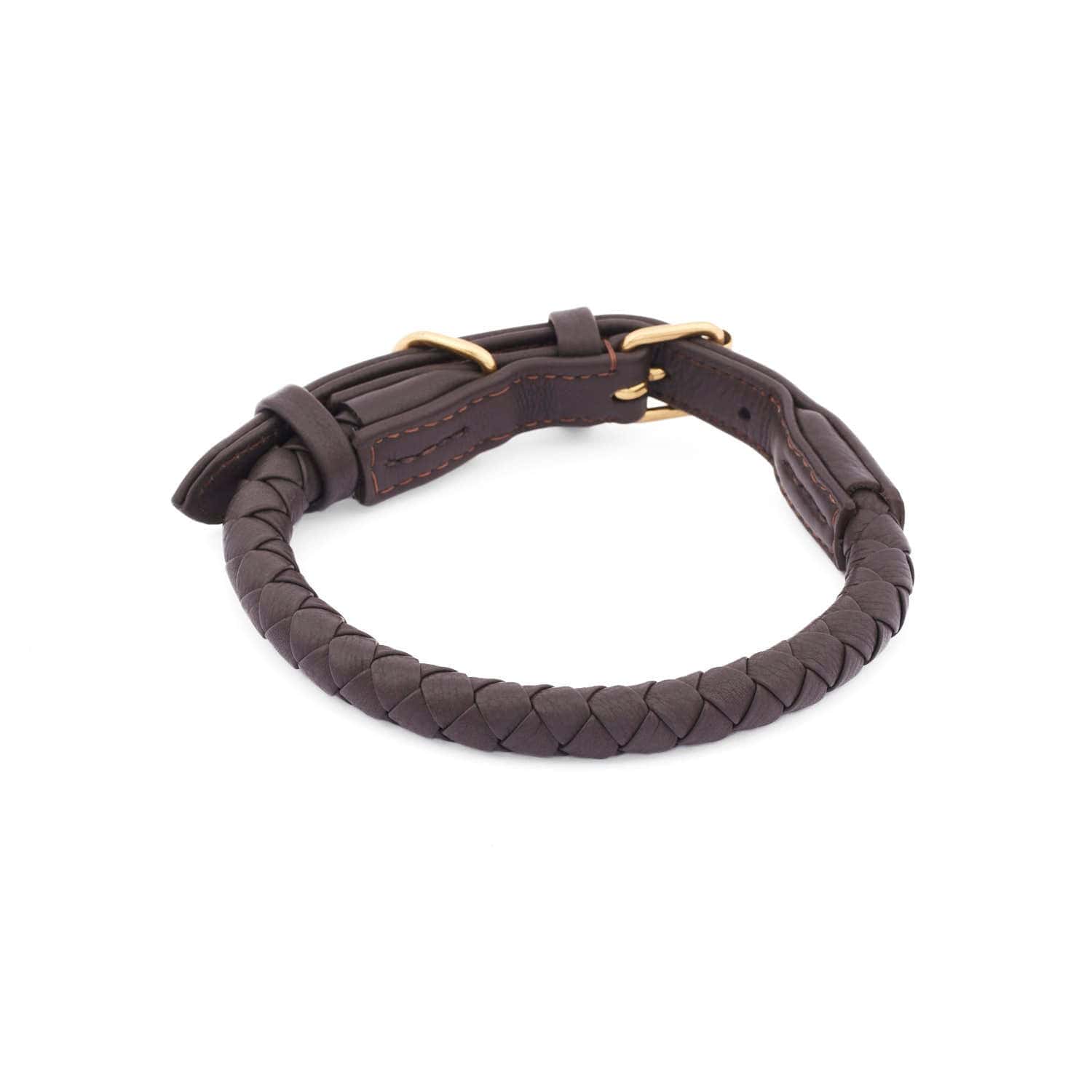 William Walker Hundehalsband Twisted Earth