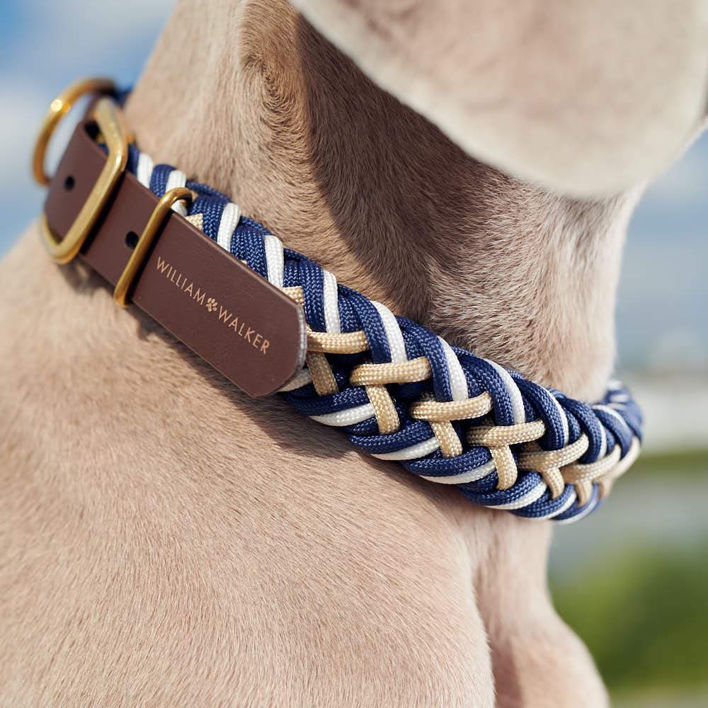 Paracord BioThane® hundehalsbånd Hanseatic