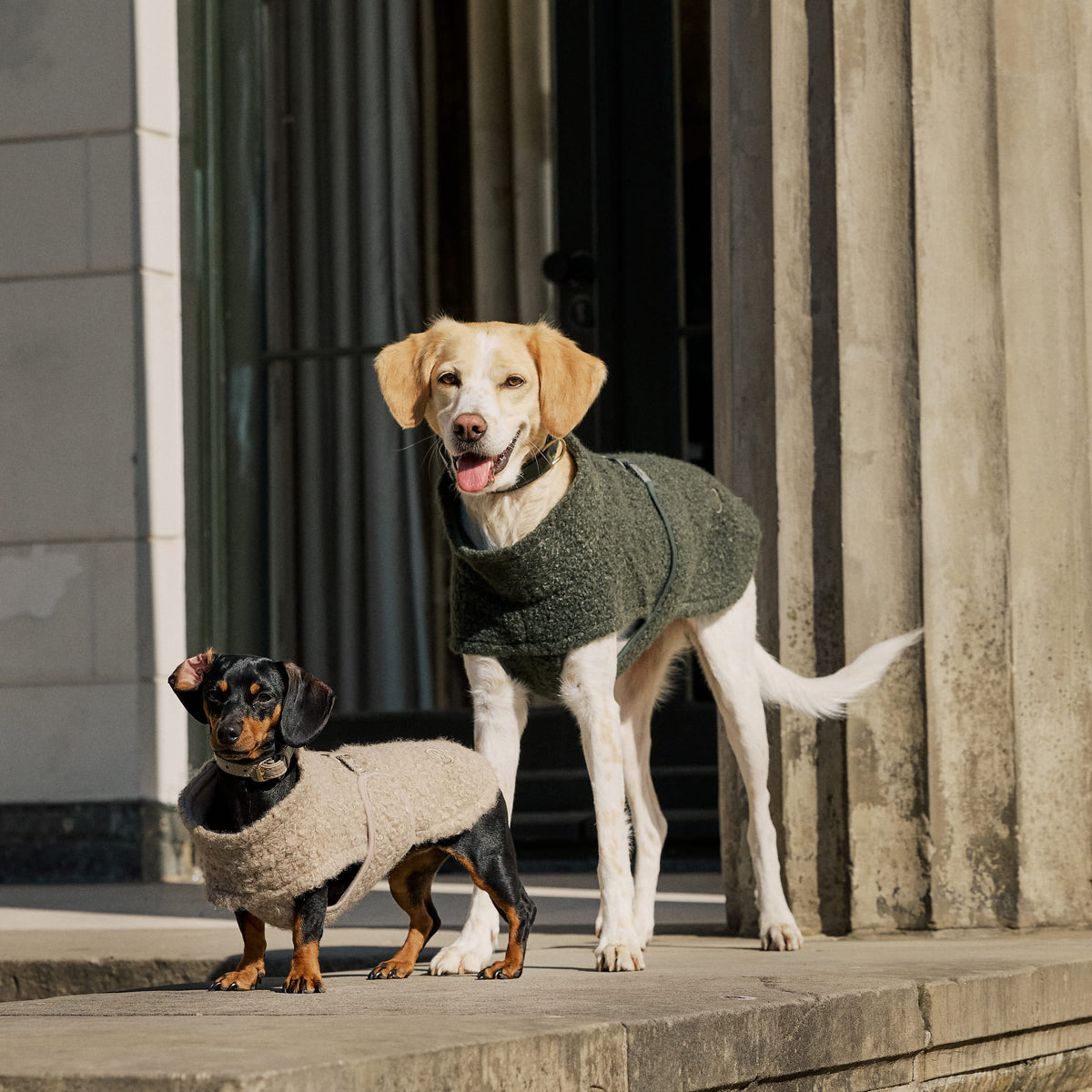 William Walker Hyggelig fleece-hundefrakke Cozy til gravhunde