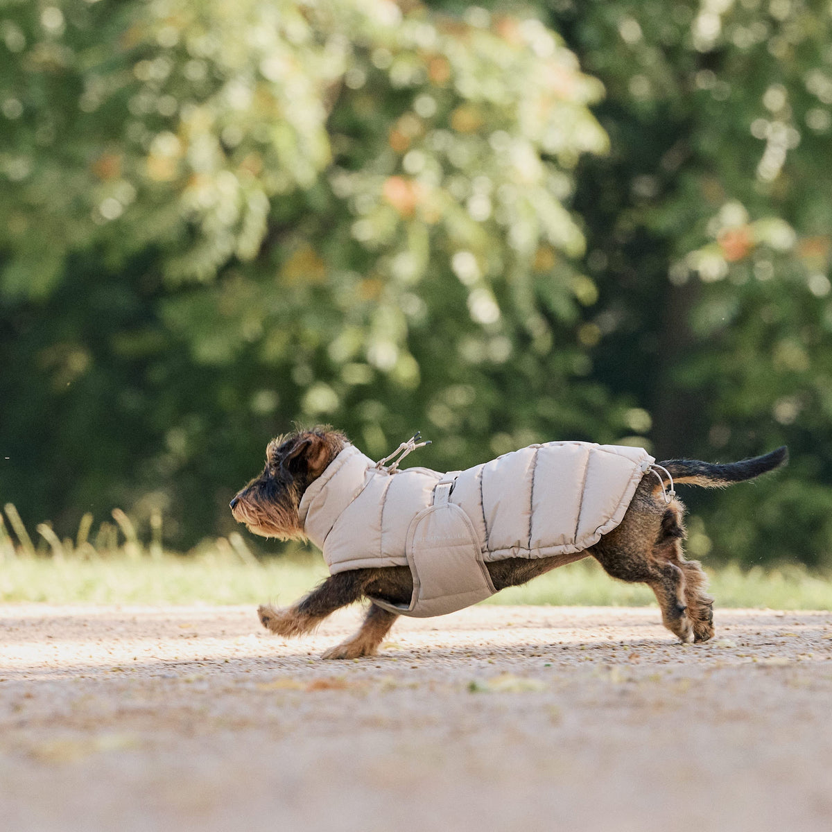 William Walker Vinterfrakke til hunde Alpine til gravhunde