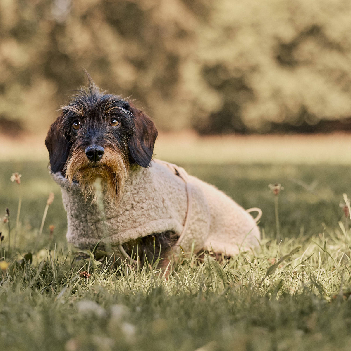 William Walker Hyggelig fleece-hundefrakke Cozy til gravhunde
