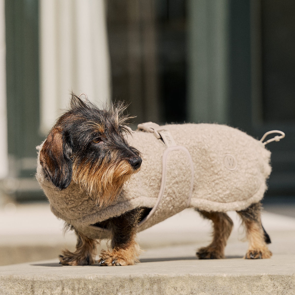 William Walker Hyggelig fleece-hundefrakke Cozy til gravhunde Sand / 2