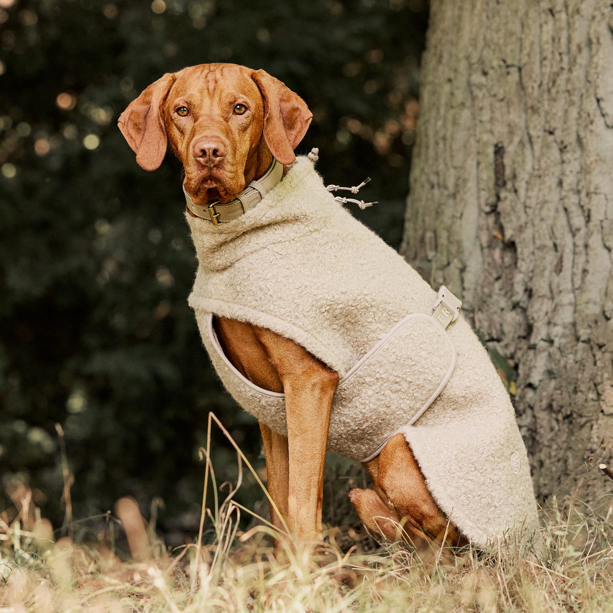 William Walker Hyggelig fleece-hundefrakke Cozy