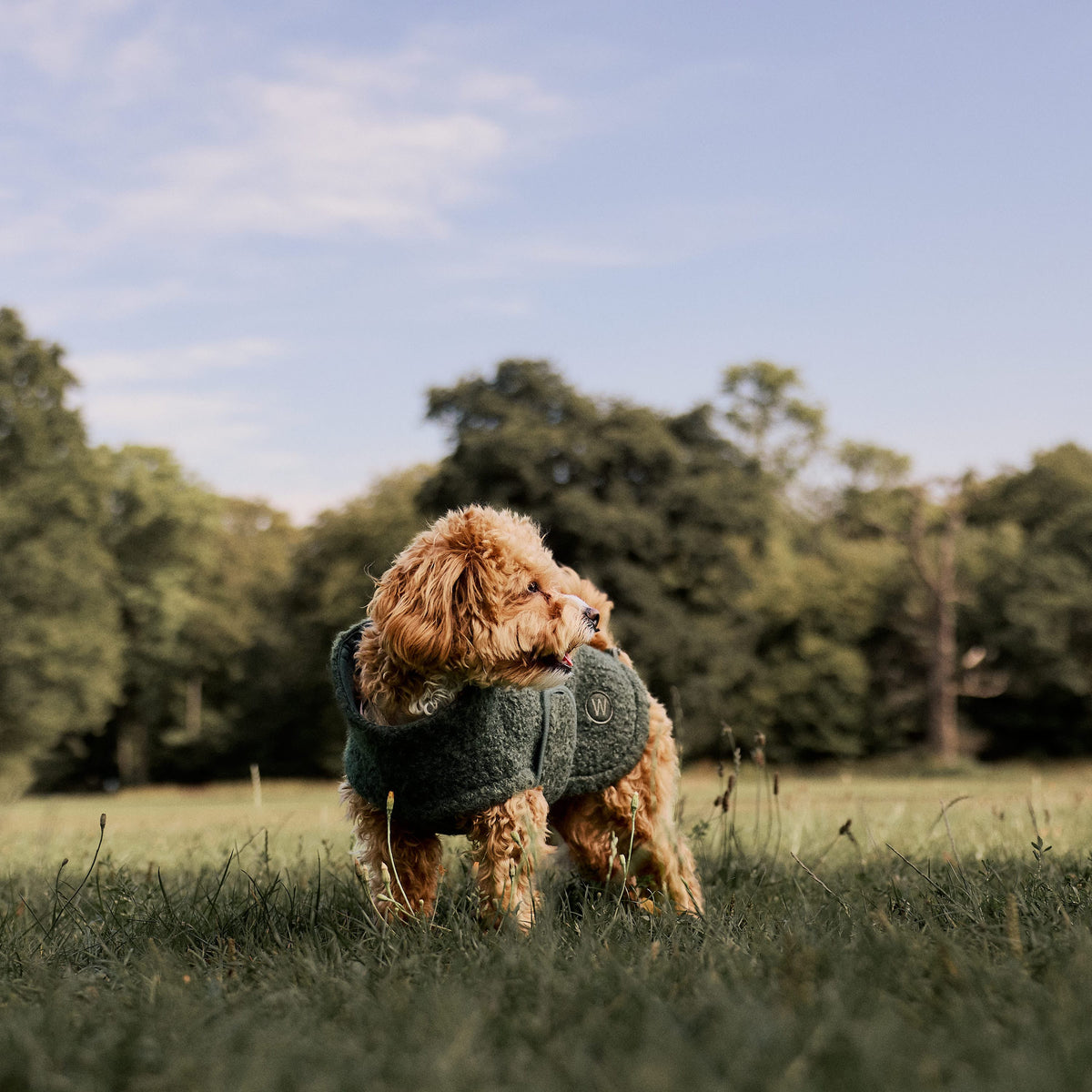 William Walker Hyggelig fleece-hundefrakke Cozy