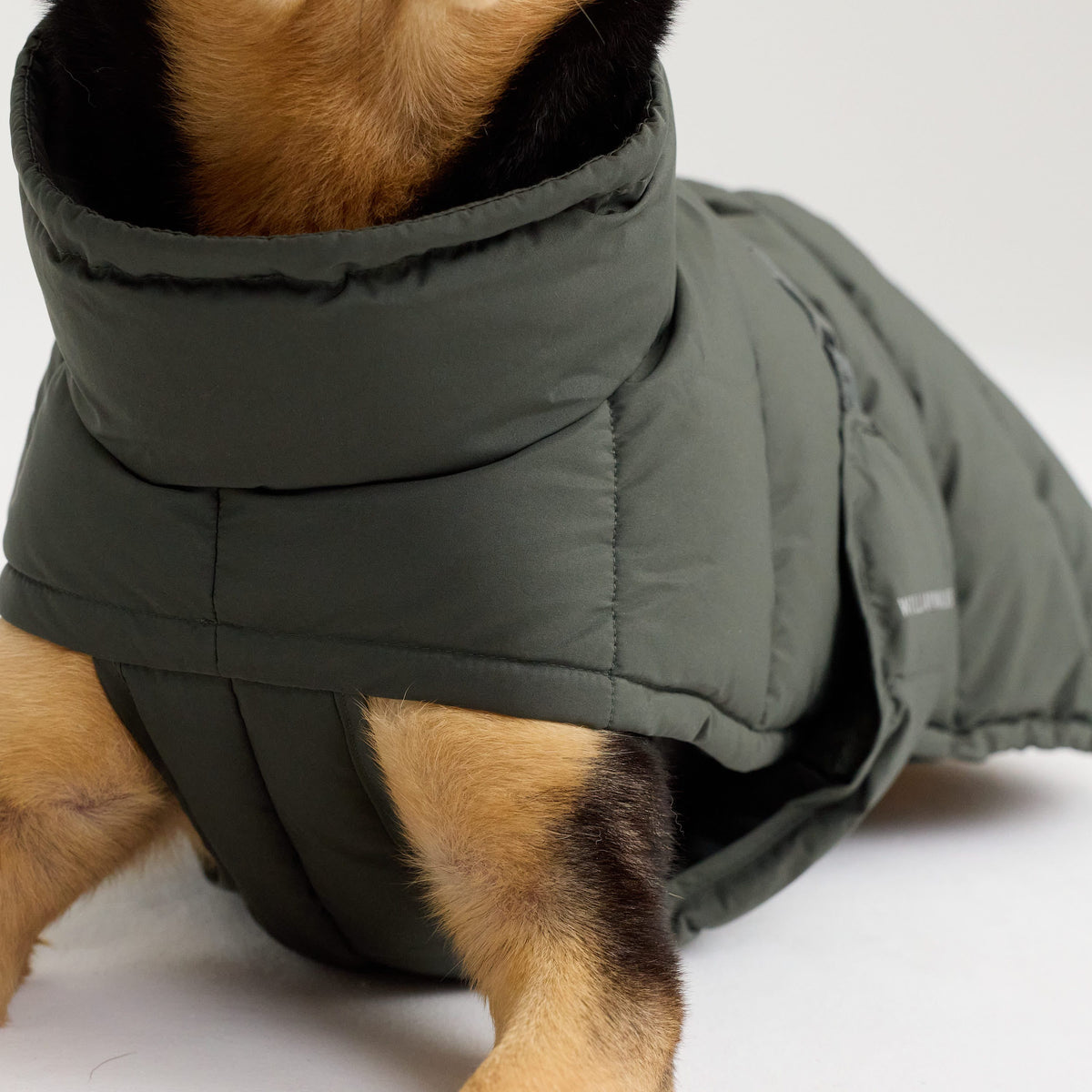 William Walker Varm vinterfrakke til hunde Alpine