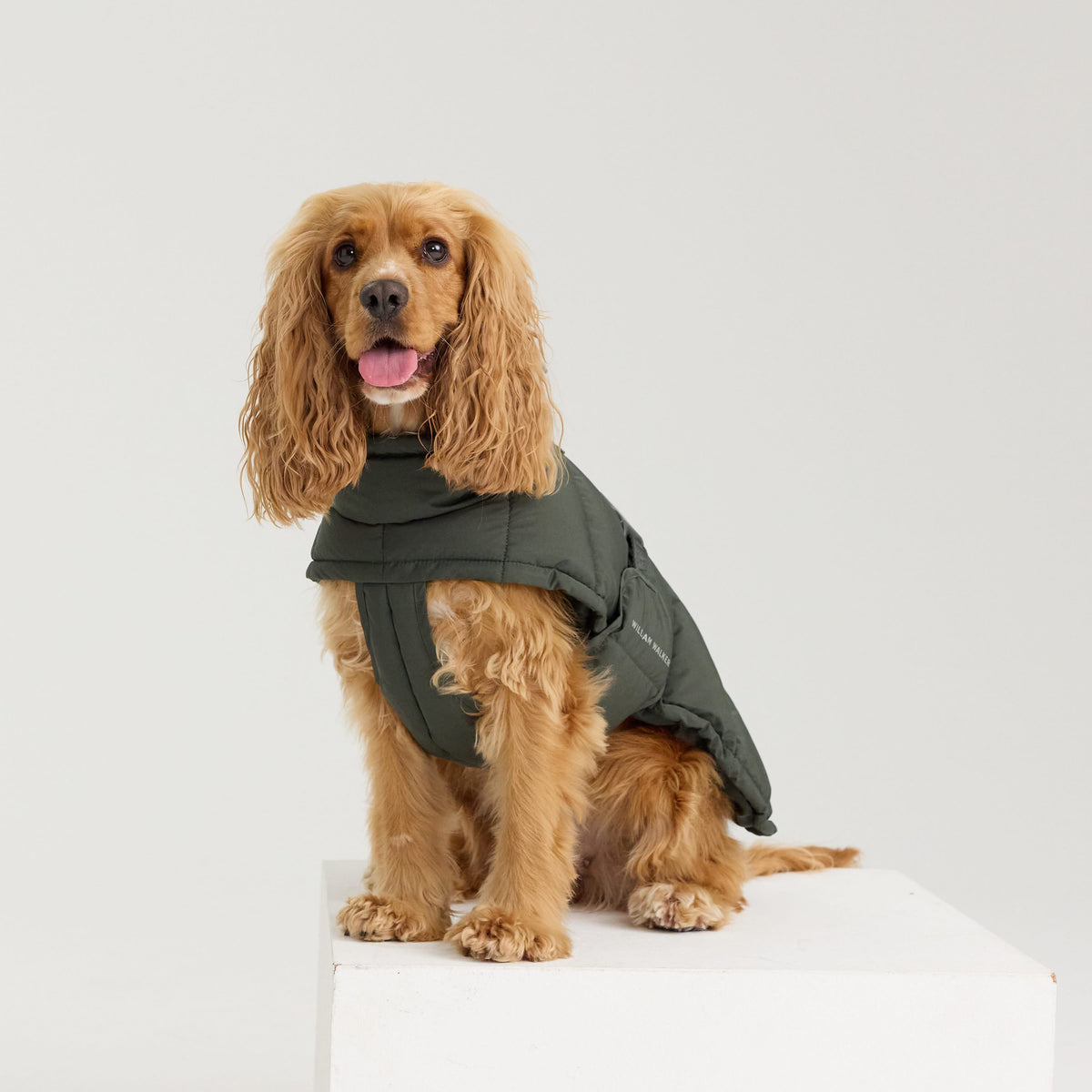 William Walker Varm vinterfrakke til hunde Alpine