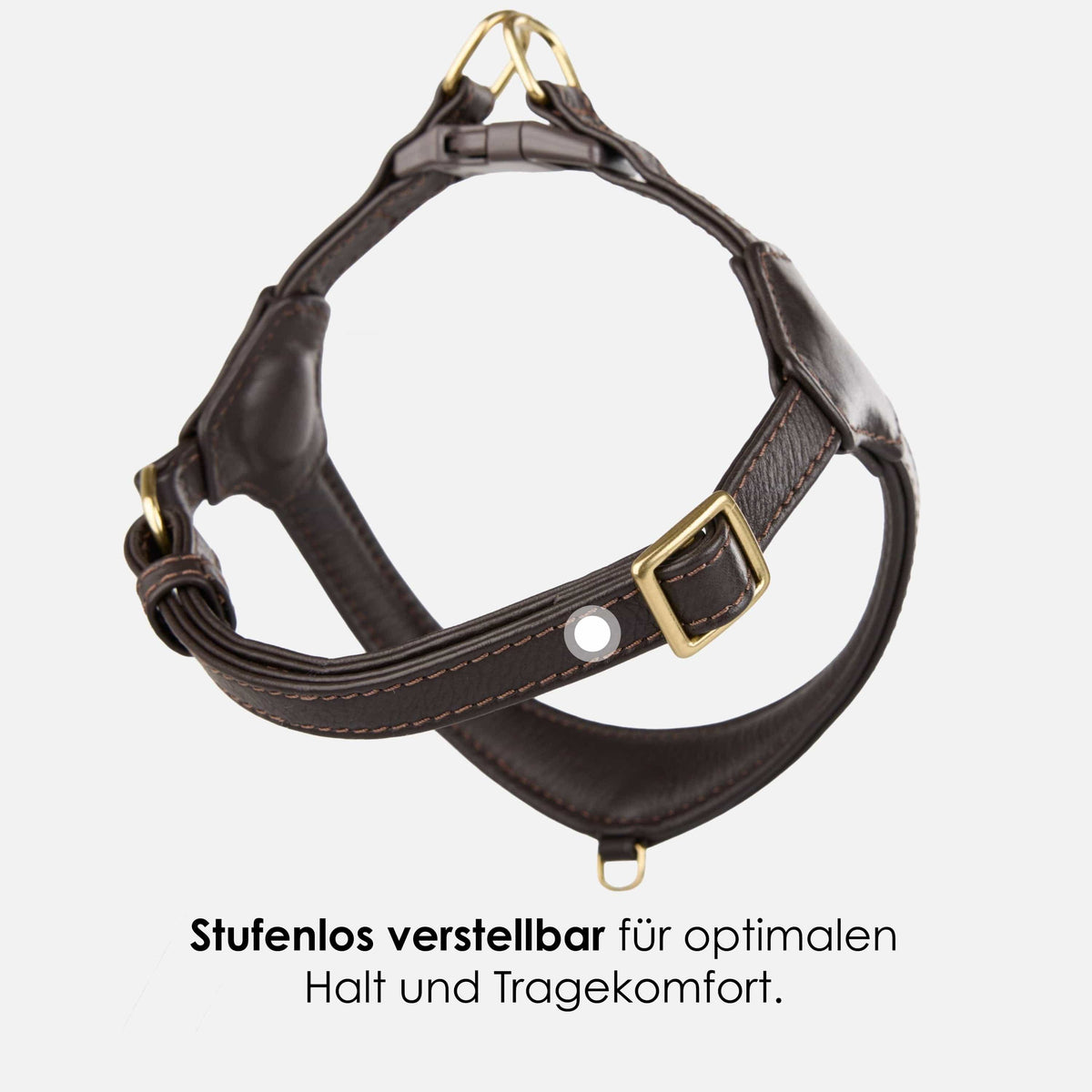 William Walker Step-In læder hundesele Pico til små hunde Earth / 1