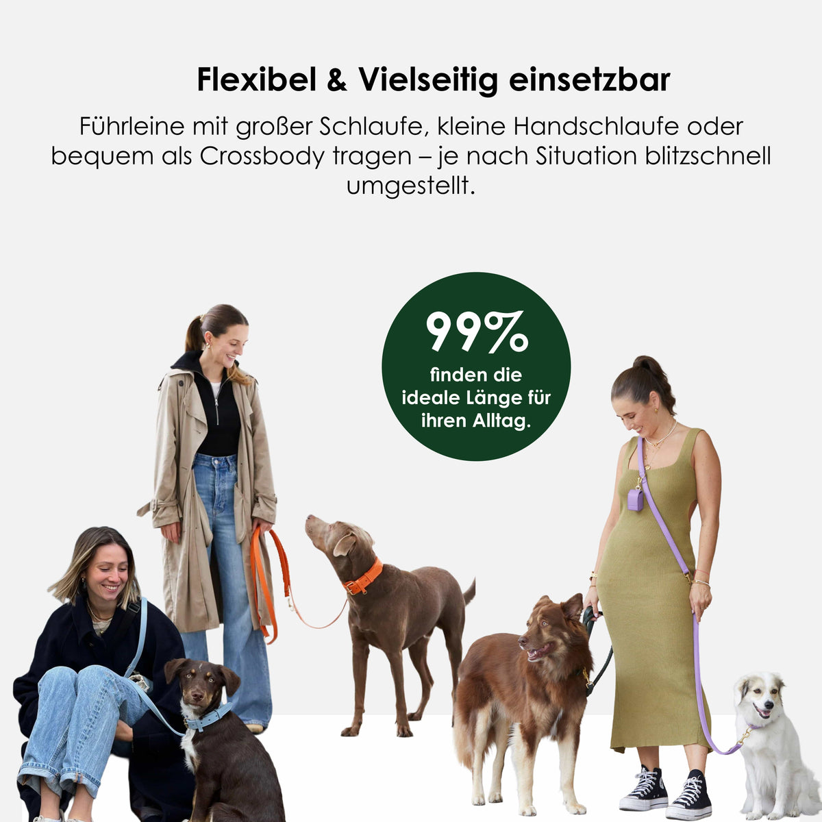 William Walker Hundeline af vandtæt nubuklæder trinløst justerbar handsfree