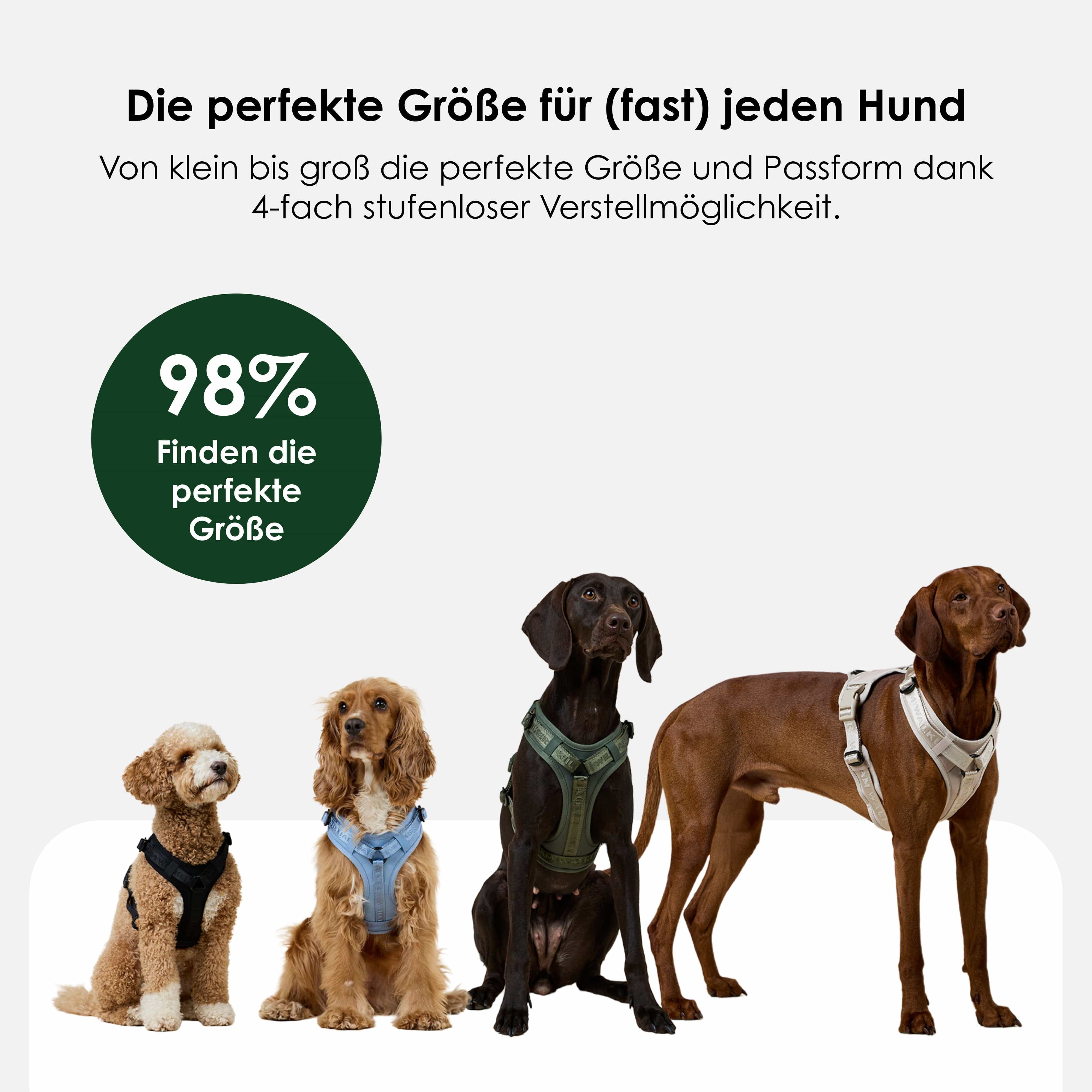 William Walker Hochwertiges Y-Hundegeschirr Forest (grün)