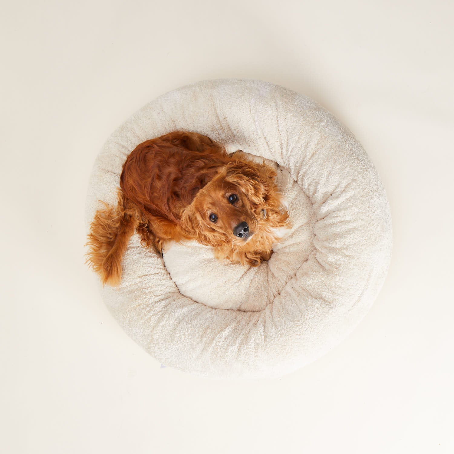 William Walker Kuscheliges Hundebett Comfy Sand (Beige)