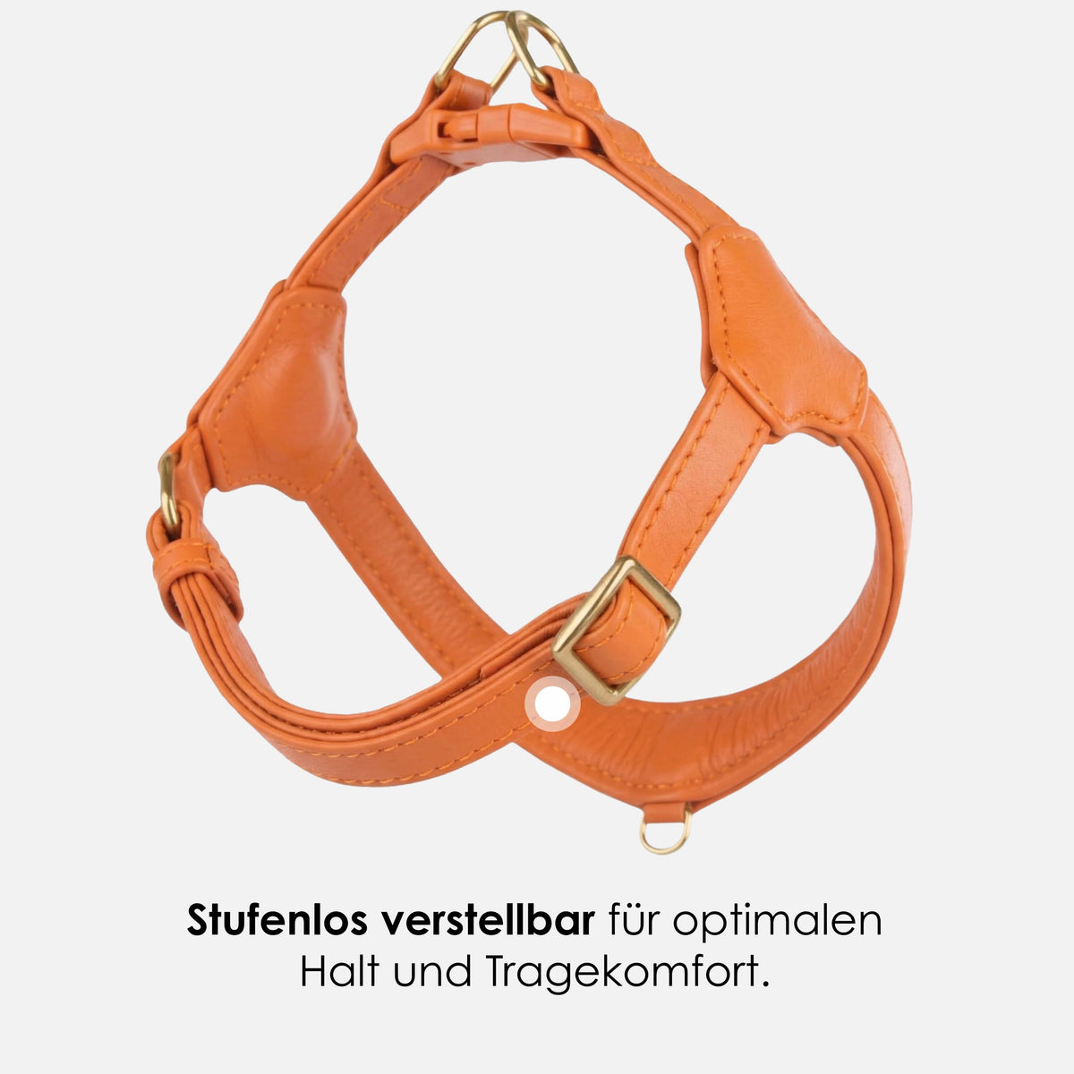 William Walker Step-In læder hundesele Pico til små hunde Amber (orange) / 1