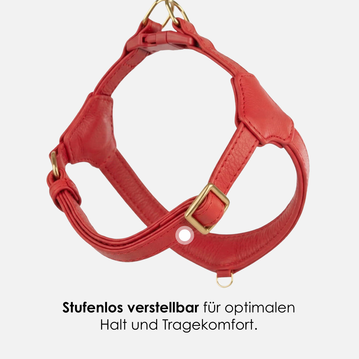 William Walker Step-In læder hundesele Pico til små hunde Chili (rot) / 1
