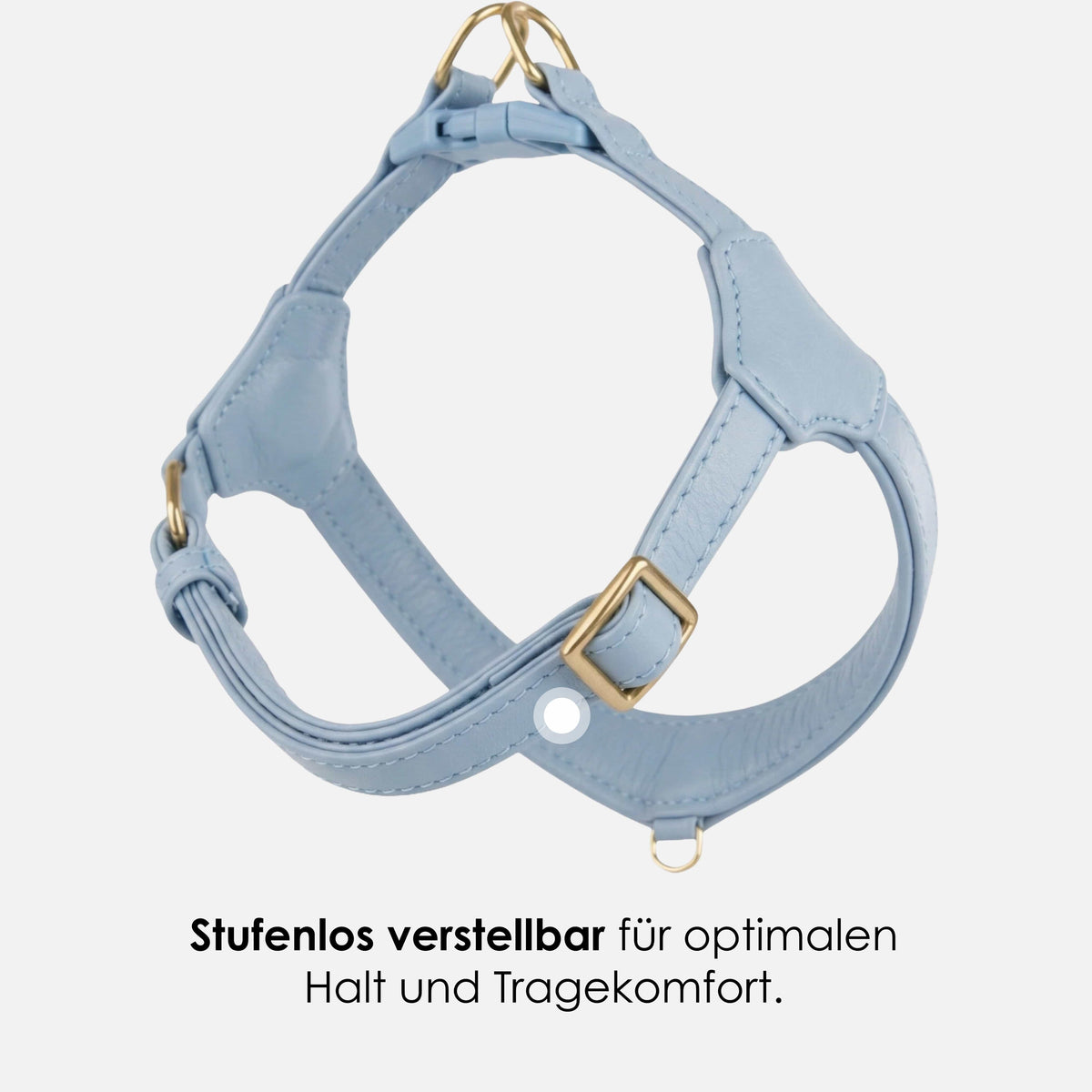 William Walker Step-In læder hundesele Pico til små hunde Sky (hellblau) / 1