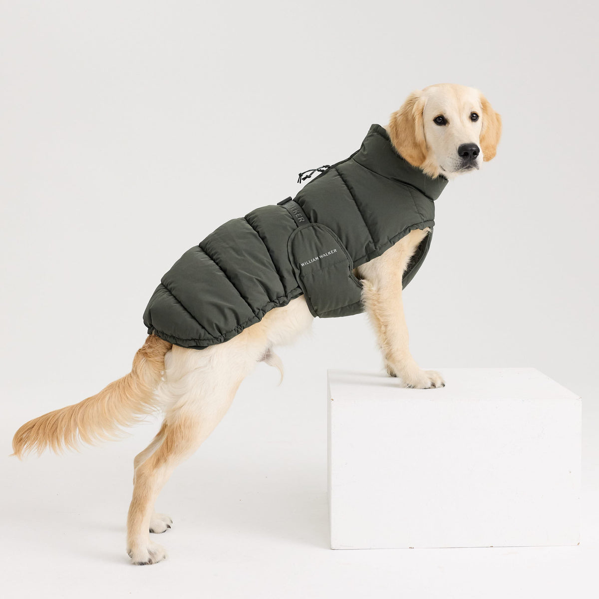 William Walker Varm vinterfrakke til hunde Alpine Dark Moss / 1